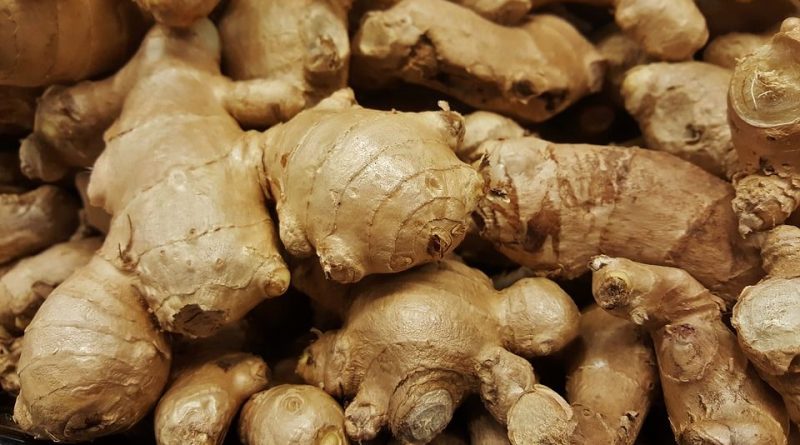 Ginger